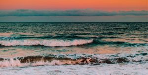 ryan-loughlin-f1Kbt5NC8-I-unsplash_web