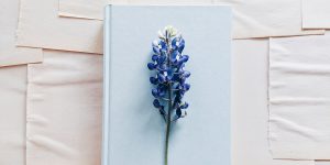 Violette Bluebonnet-Blume auf weißem Buchdeckel – Symbol für vergängliche Liebesbeziehungen